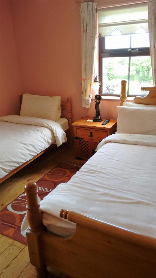워터퍼드 Grannagh Castle House B&B 외부 사진