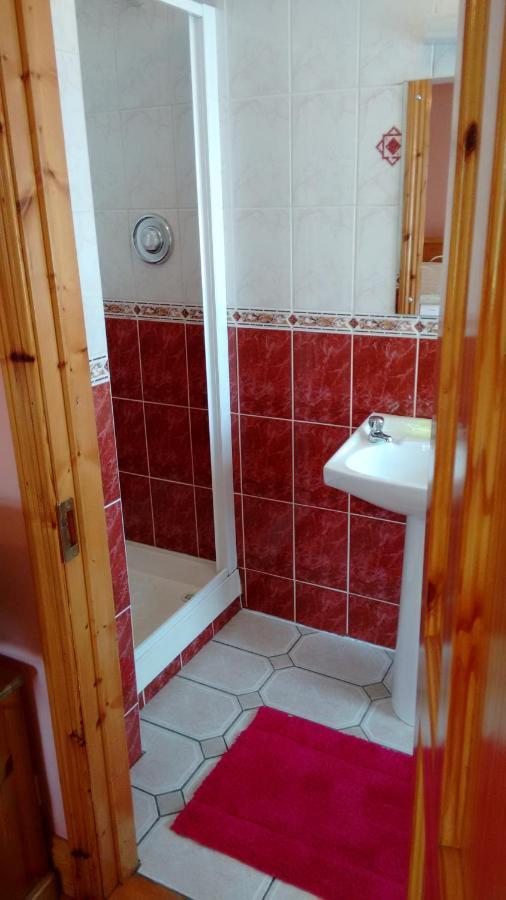 워터퍼드 Grannagh Castle House B&B 외부 사진