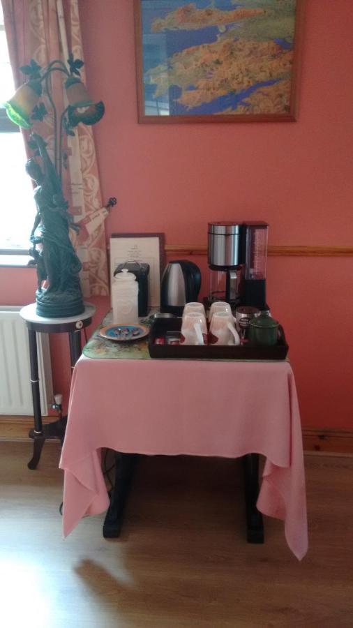 워터퍼드 Grannagh Castle House B&B 외부 사진
